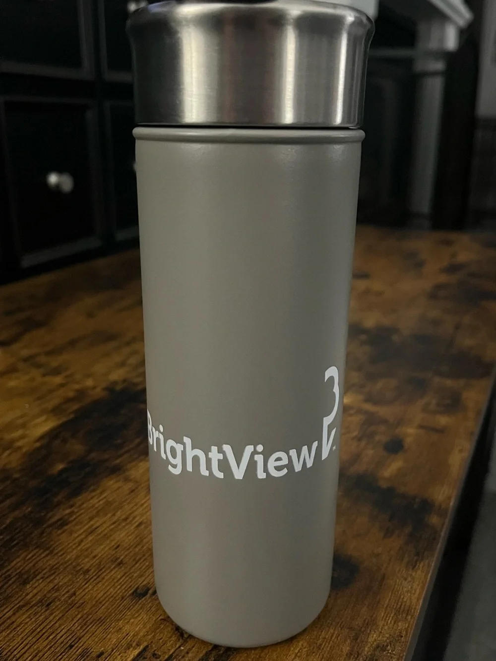 BrightView Stainless Steel Travel Bottle in Taupe